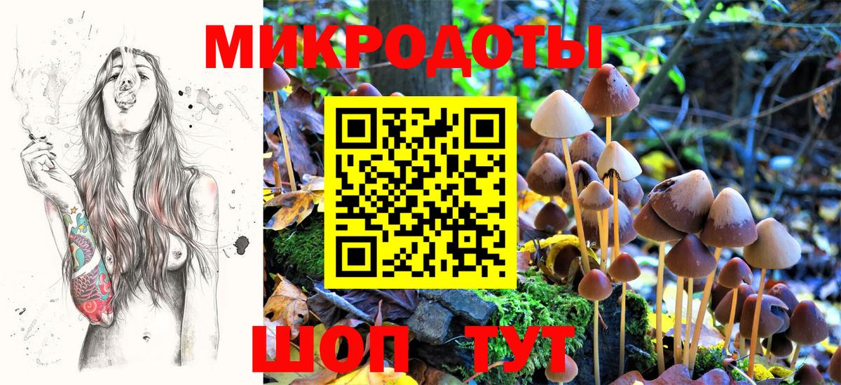 Псилоцибиновые грибы мухоморы Сафоново